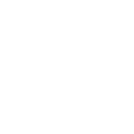 Flapping International Logo